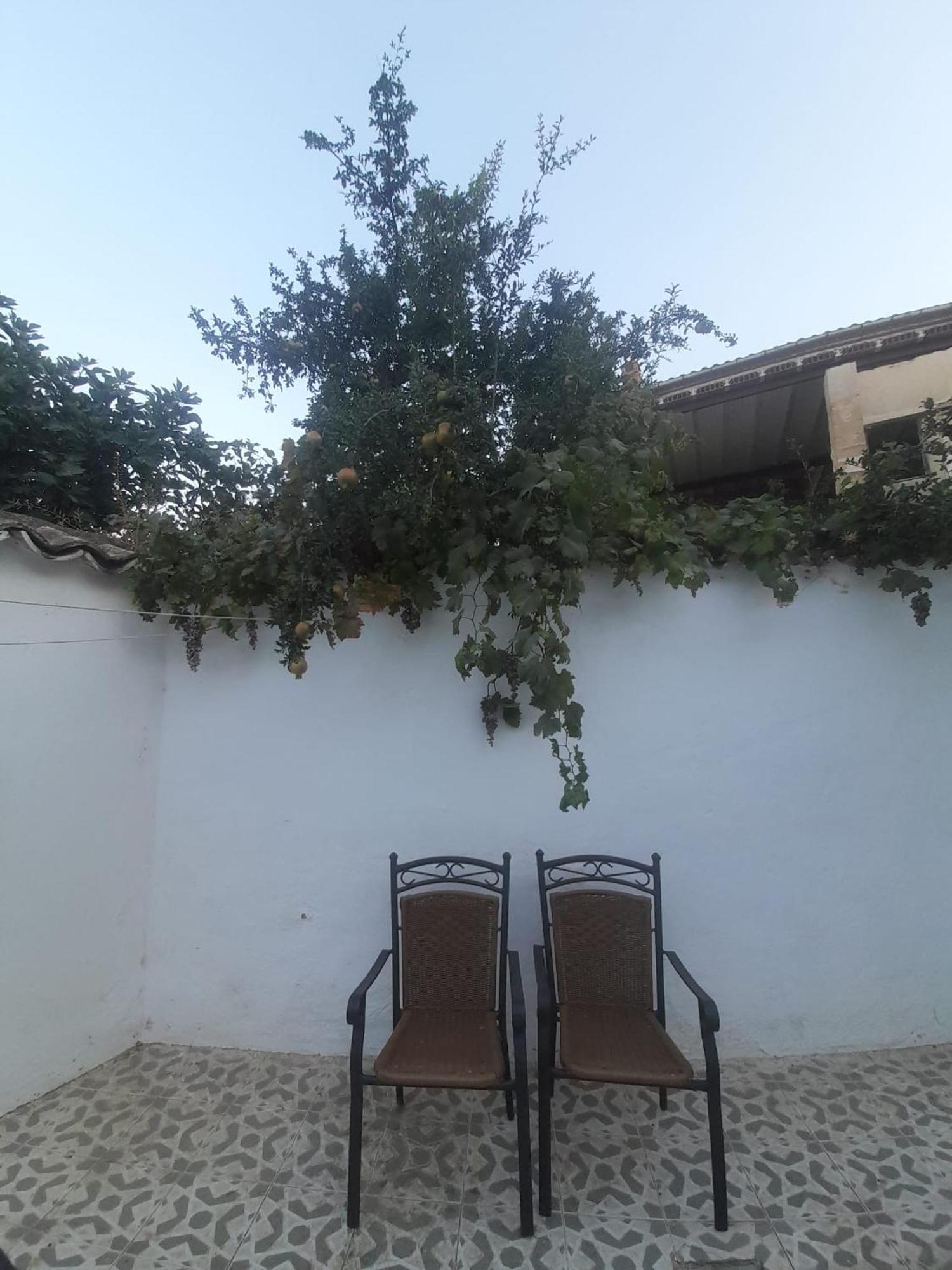 El Molino De Aceite Βίλα Baeza Εξωτερικό φωτογραφία