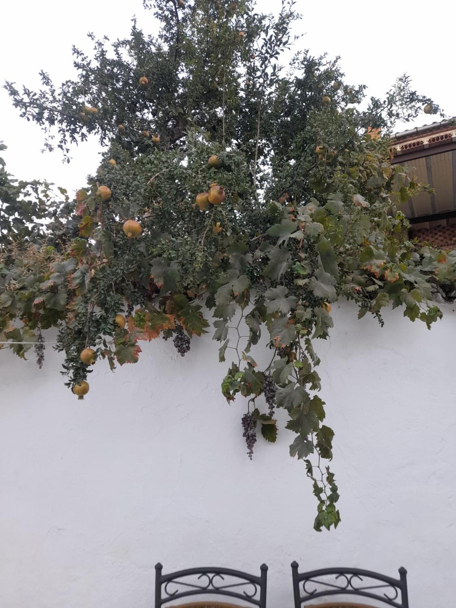 El Molino De Aceite Βίλα Baeza Εξωτερικό φωτογραφία